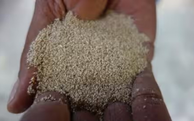 Move Over Quinoa, Ethiopia’s Teff Poised to Be the Next Big Super Grain