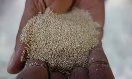 Move Over Quinoa, Ethiopia’s Teff Poised to Be the Next Big Super Grain